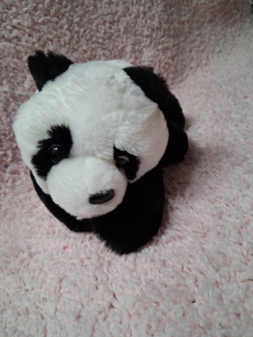 Adopt A Pet F. A.O Plush Black & White Panda Stuffed Animal - Picture 5 of 7